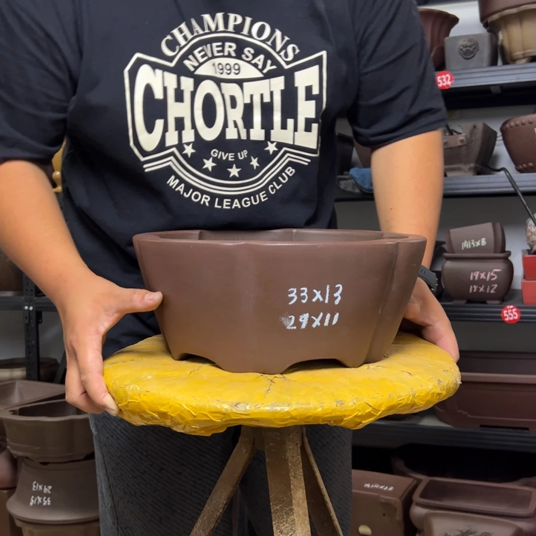 紫砂花盆呜呜呜呜呜我