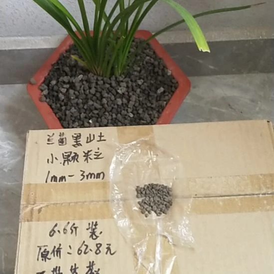 牛***哥兰菌黑山土小颗粒6.6斤