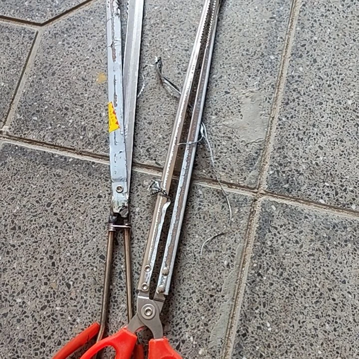 红色实心夹子两个，，