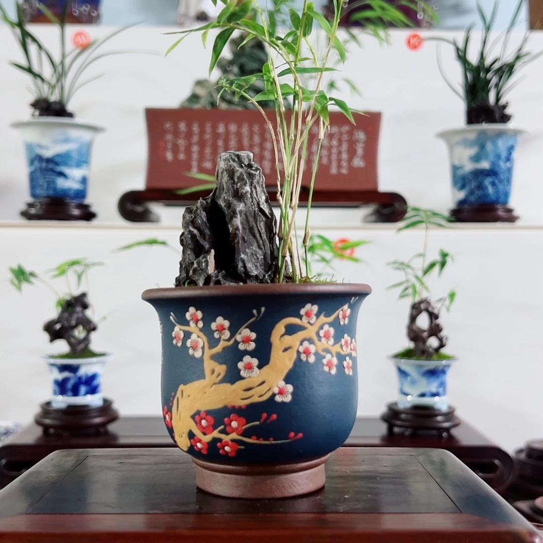 无花朵盆景，凤尾竹，英石，