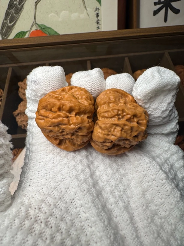 延庆蛤蟆头（33/36/40）