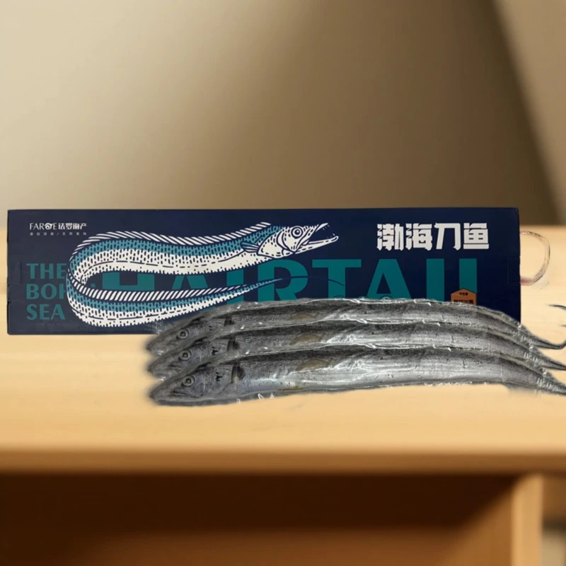 大连渤海湾整条刀鱼精品礼盒装【京东包邮】冷冻保存