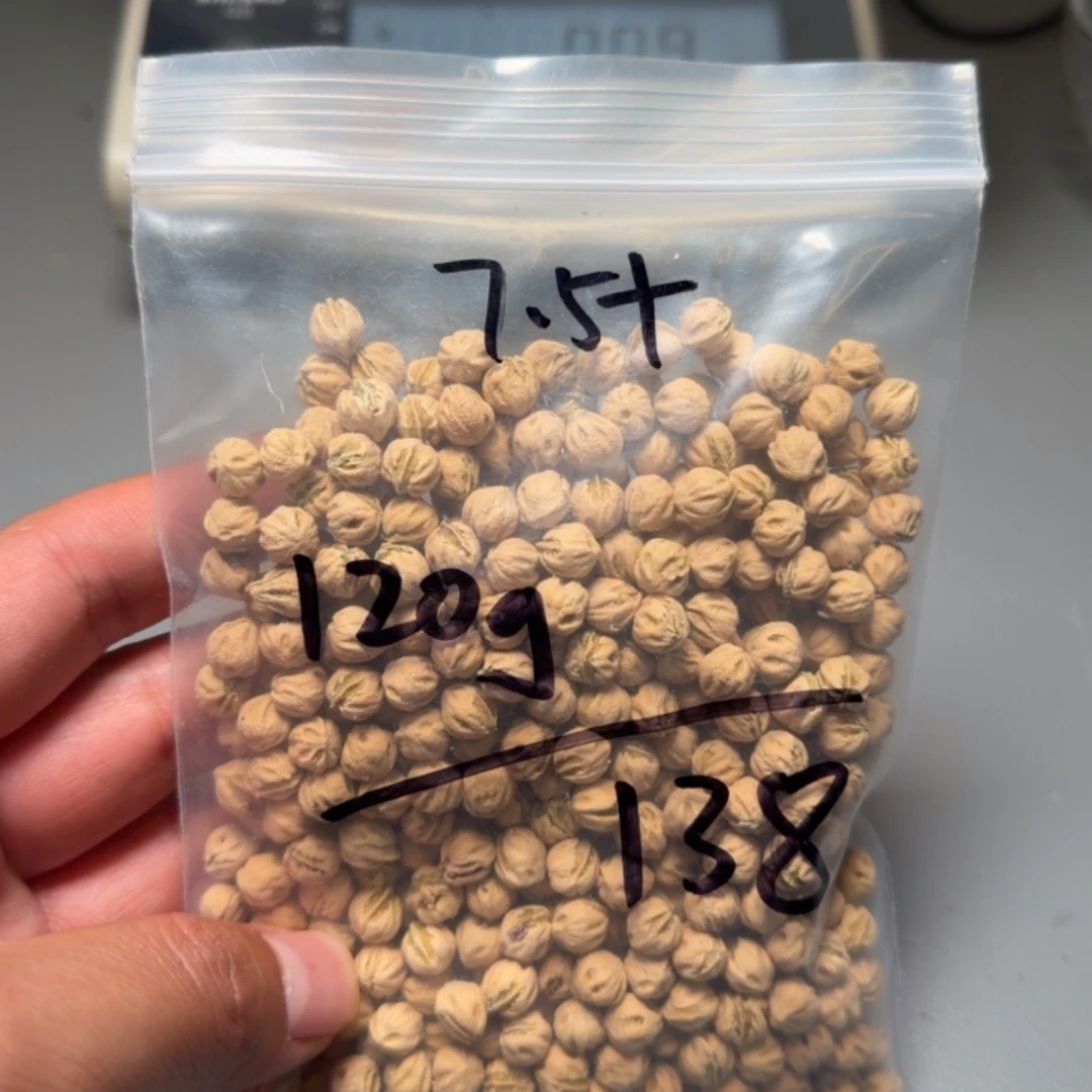 k****吊坠柏香籽/百香籽