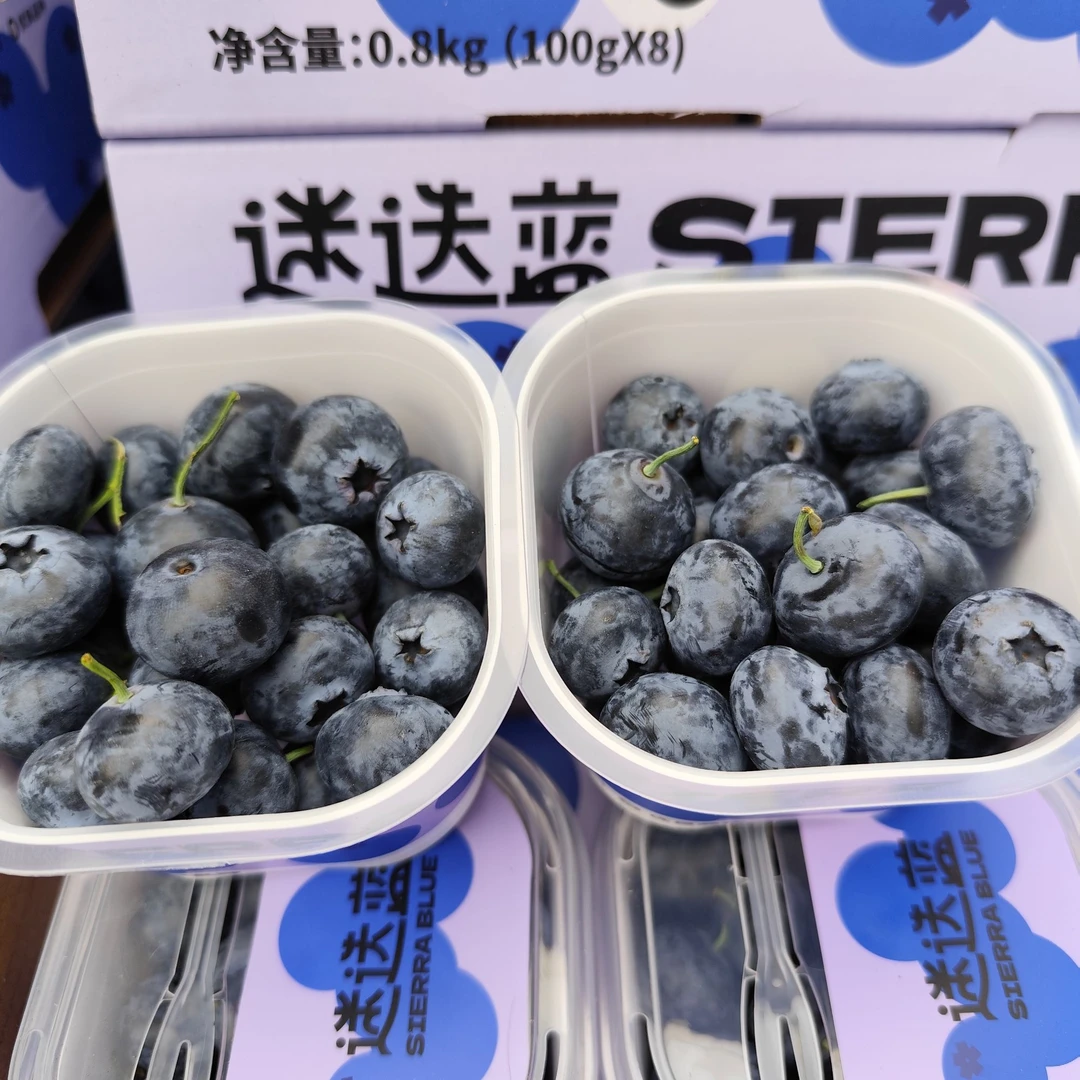 【陈氏阳光】云南迷迭蓝蓝莓当季新鲜水果8盒装18mm*100g顺丰包邮次日达云南蓝莓迷迭蓝云南省昆明市