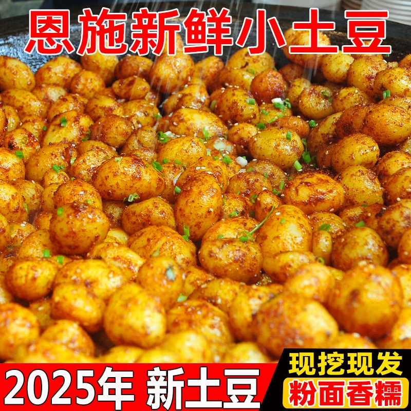 恩施高山黄心迷你小土豆现挖农家自种马铃薯当季新鲜蔬菜粉面洋芋