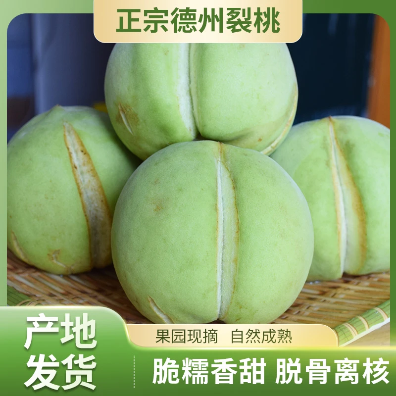山东裂桃丑裂桃德州蜜裂桃青皮毛桃脆甜离核桃香浓郁青州安丘桃子
