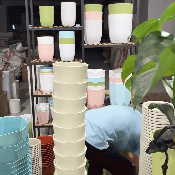 竹节15口10高10米色带托10只