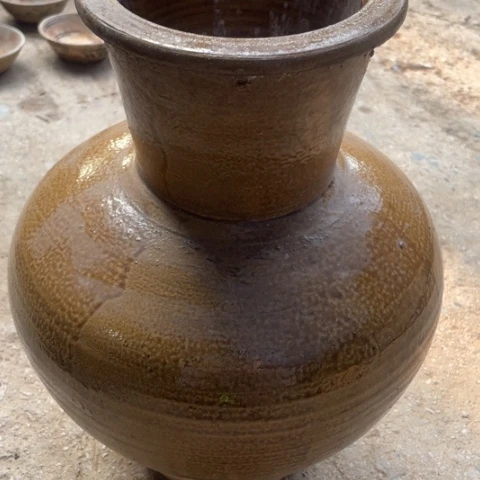 花卉的分类第三篇