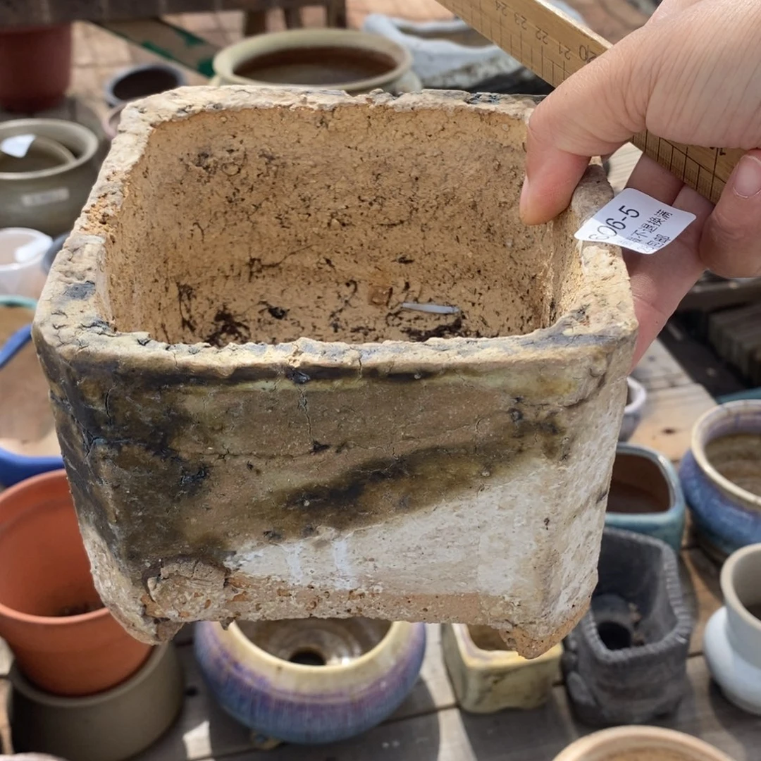 5号多肉盆口径11高9.7