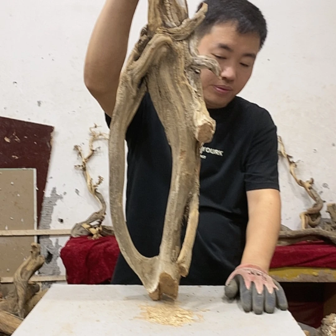 【闪购商品】柏木东****术我们都是好孩子