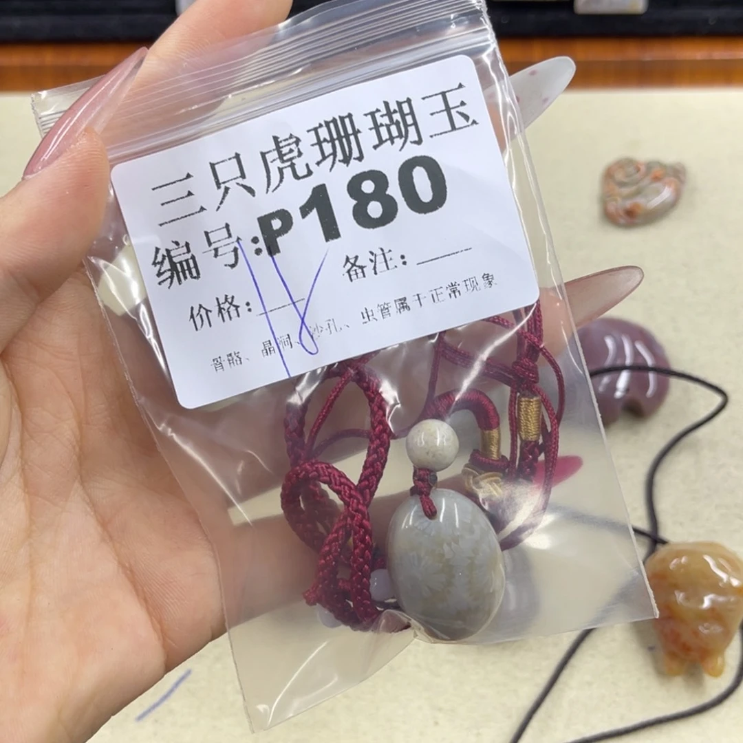 活***活硅化珊瑚（珊瑚玉）h未镶嵌