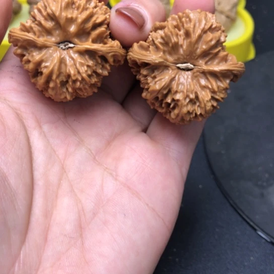 随***行核桃手串/手链满天星