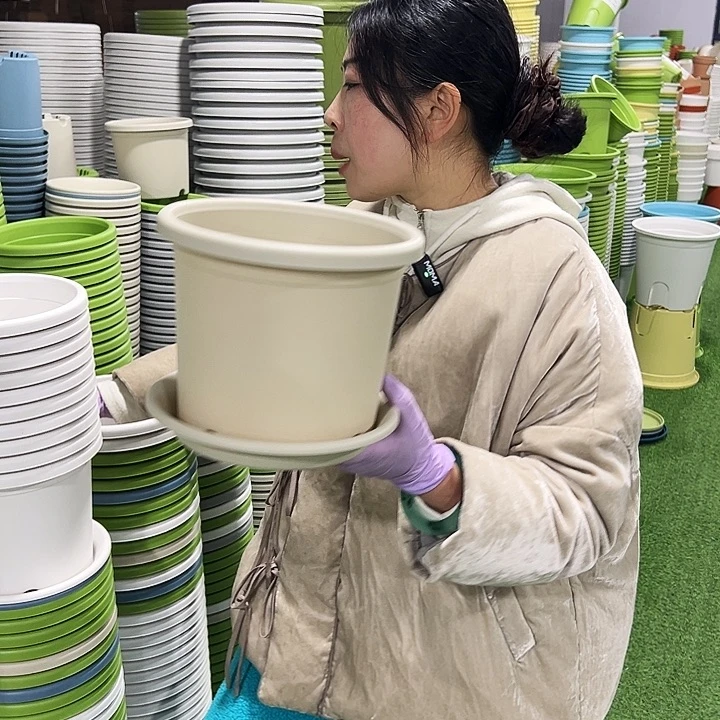 特价3号四季口21高18白色10只带托