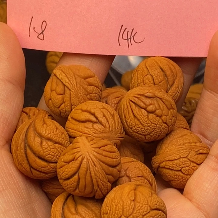 吊坠桃核秦岭龙纹桃核18尺寸