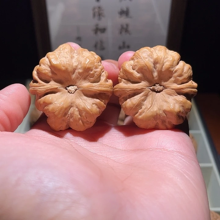 核桃手串/手链蛤蟆头
