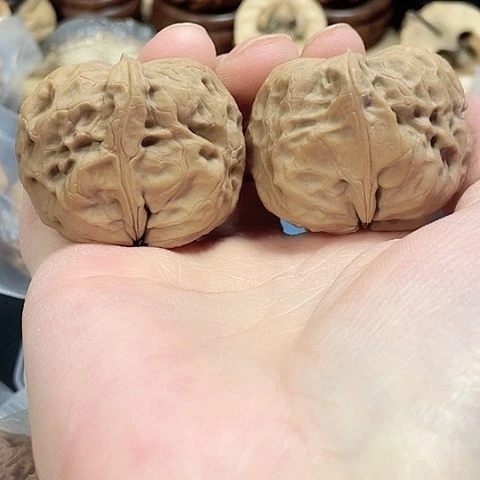 文玩核桃把件西王元宝带彩42半壁