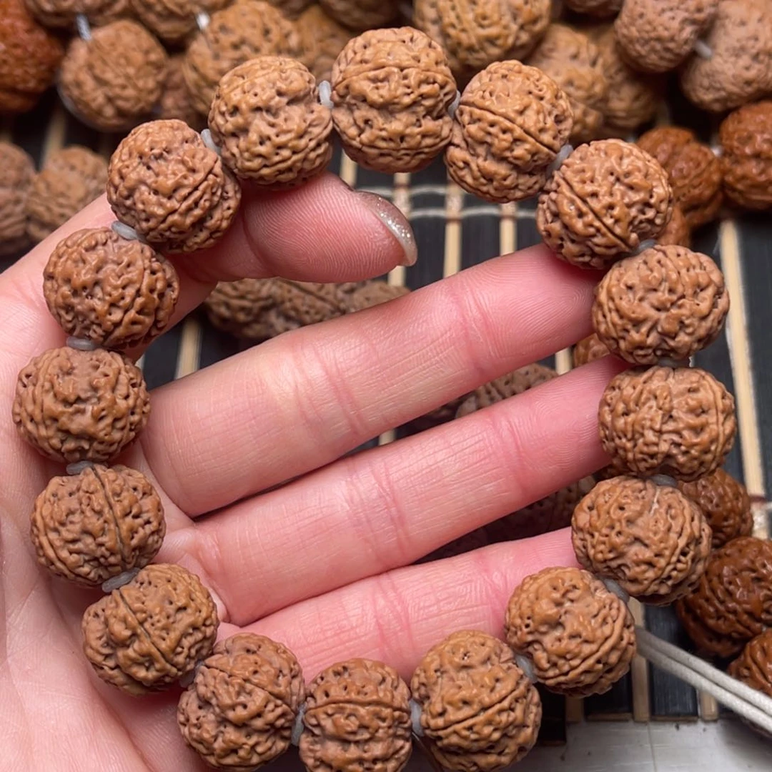 菩提尼泊尔大金刚梅花蜂王18