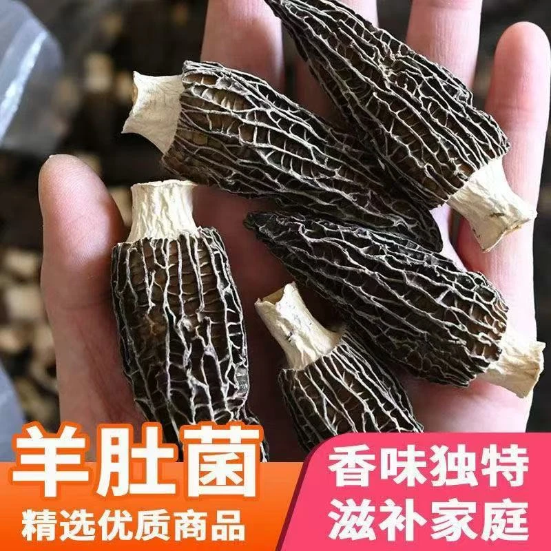 高山羊肚菌4-7干货煲汤食材菌汤土特产鲜美可口n