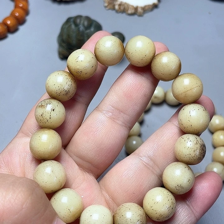 大果紫檀（缅甸花梨）