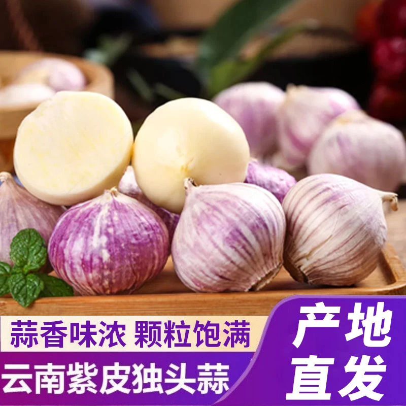 【超低价】2025独头蒜新鲜紫皮农家红皮独头0.5/1/2/3/5斤包邮