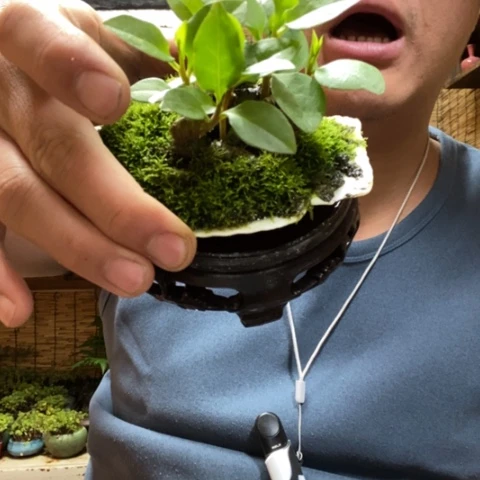 红陶钦****业一物一拍所见即所得268