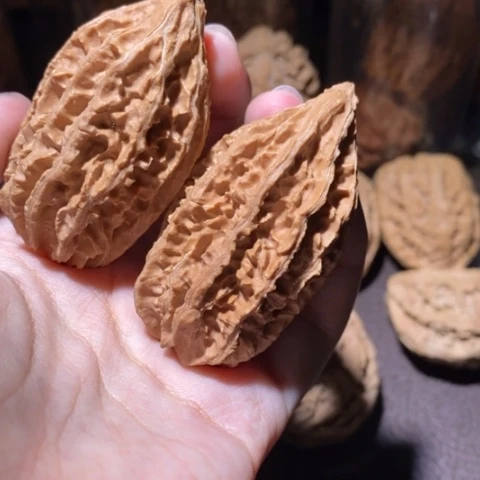 把件文玩核桃东北野生楸子小园 210