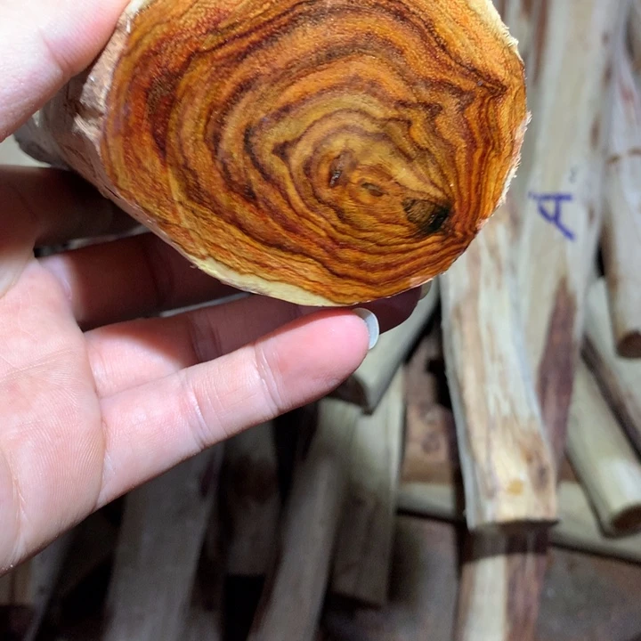 花梨木类海南黄花梨