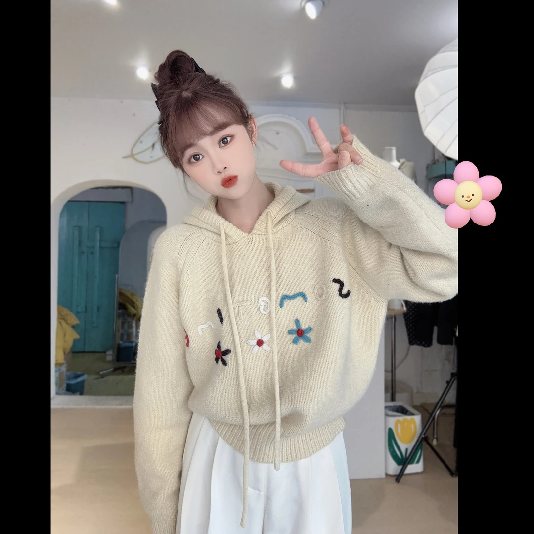 拾一 幻想曲 加厚带帽毛衣