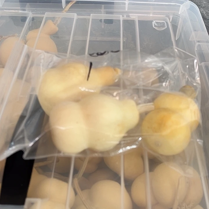 00001啊啊啊啊啊啊
