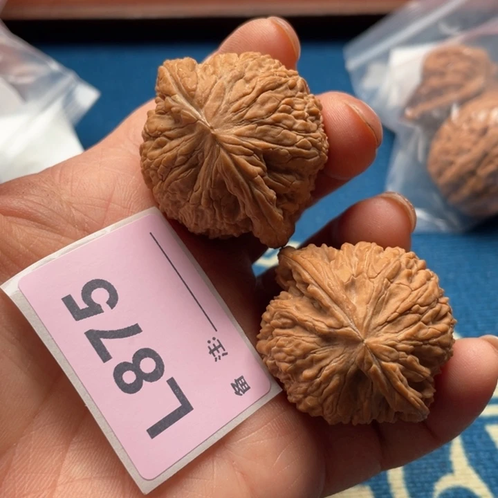 文玩核桃把件泥鳅