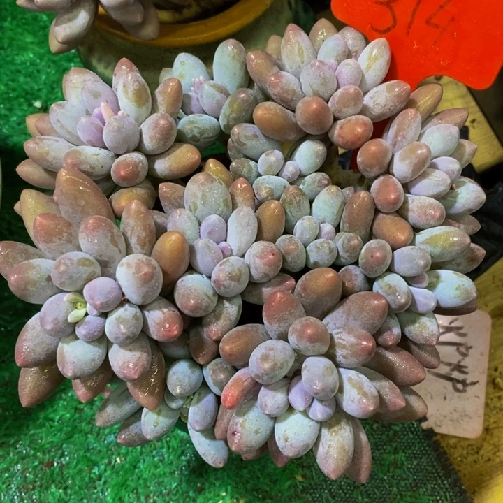 是吗这不比以前有进步