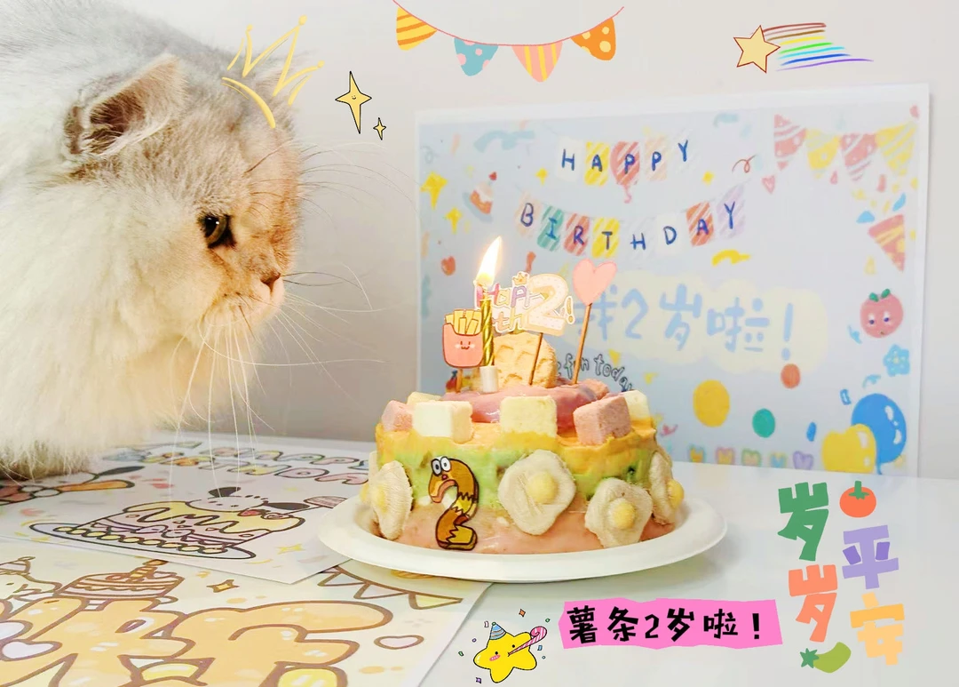 海哥生骨肉湿粮【货架链接】