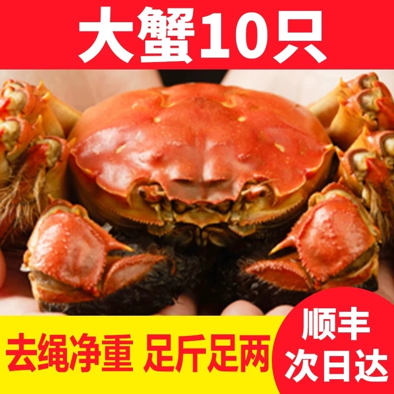 【活蟹】苏州金标大闸蟹 母蟹2.5两/只 10只