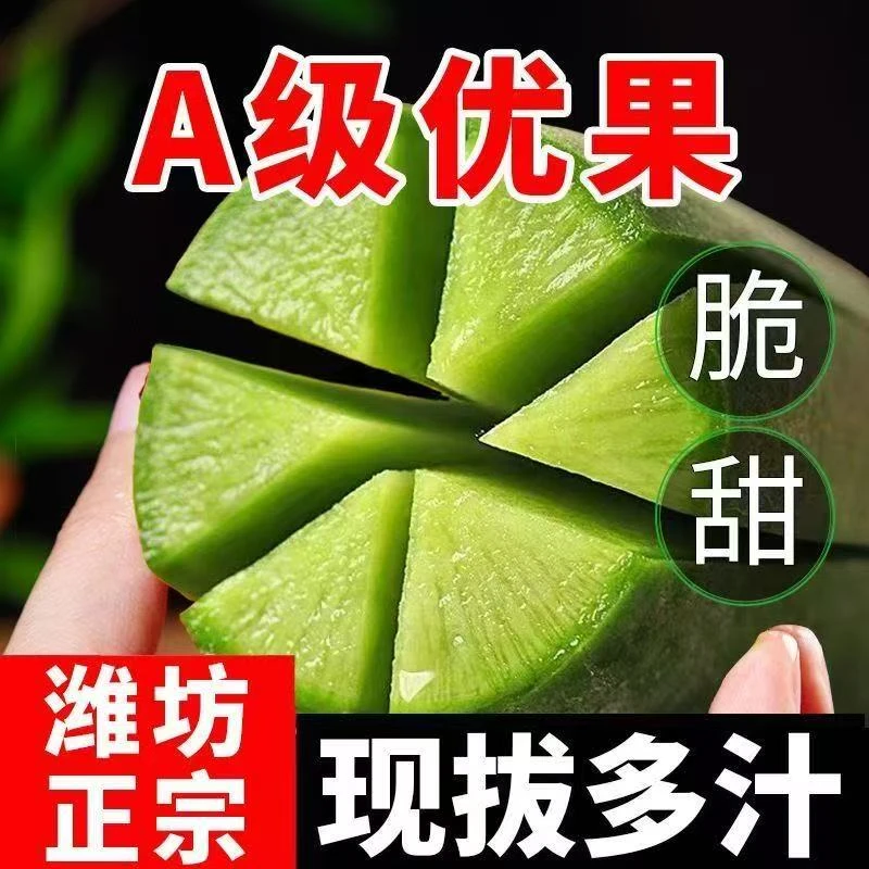 [水果萝卜]正宗潍坊水果萝卜新鲜现挖脆甜多汁适合生吃口感微辣