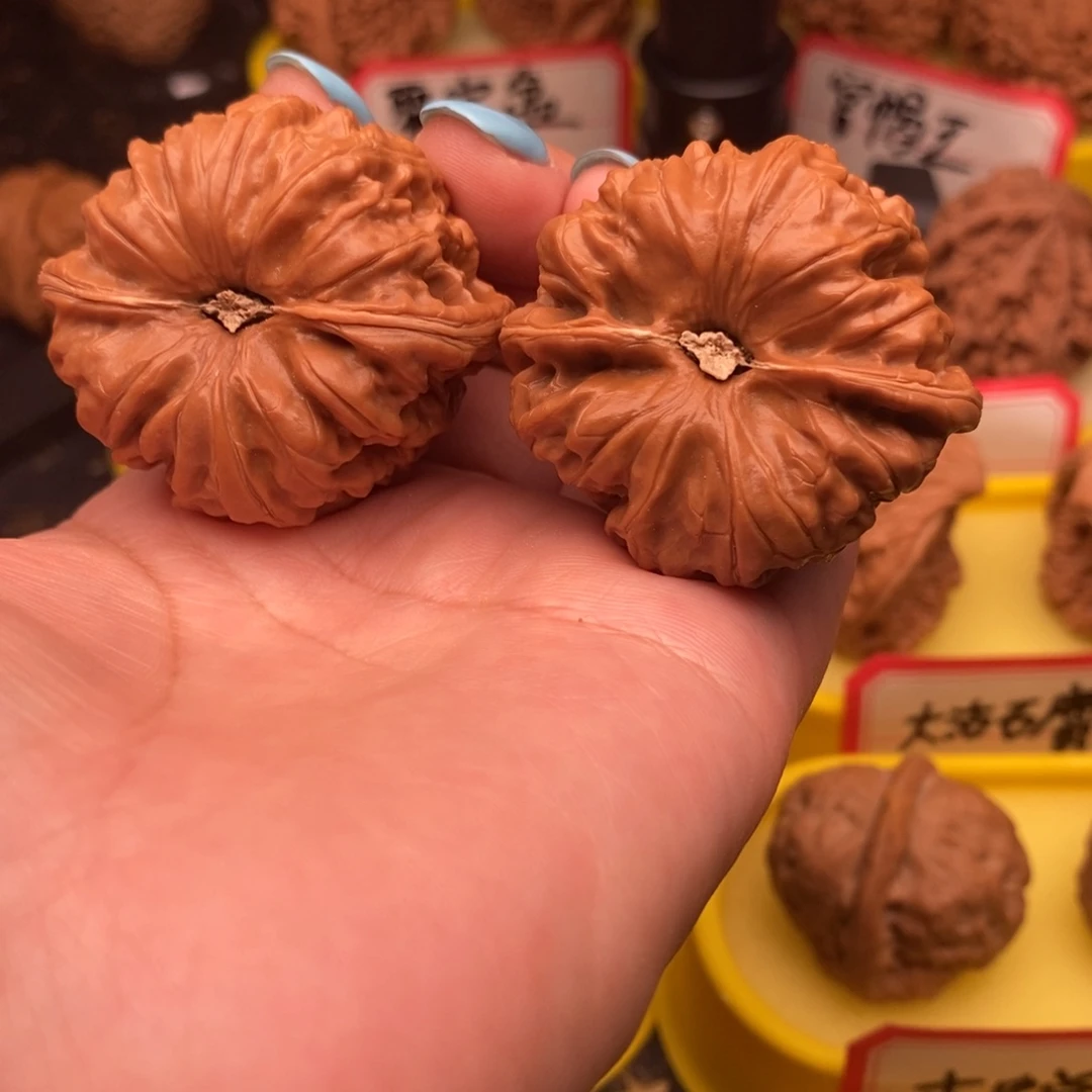 菩提籽类平谷凹底