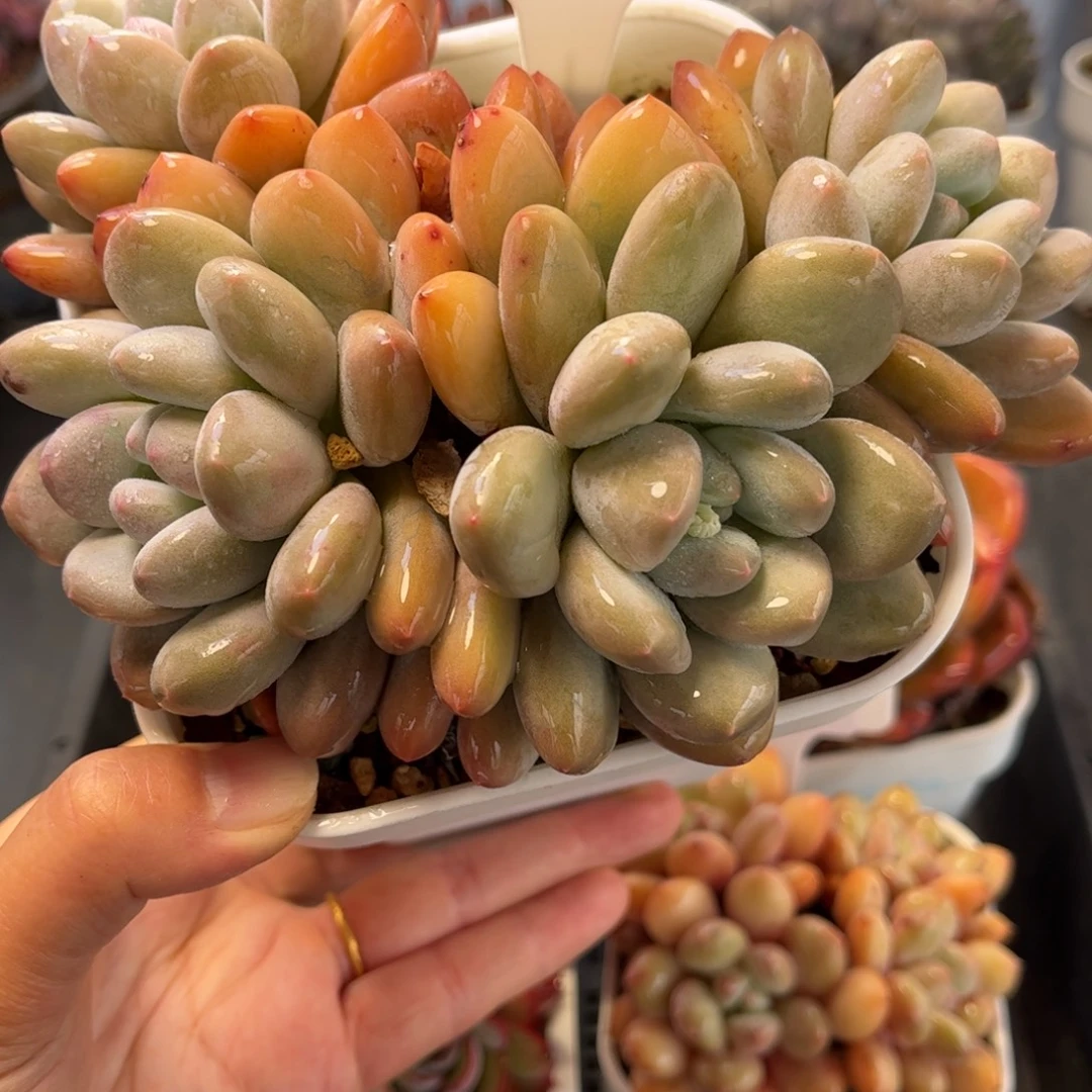 2942 满30包邮天冷地区必拍保温箱