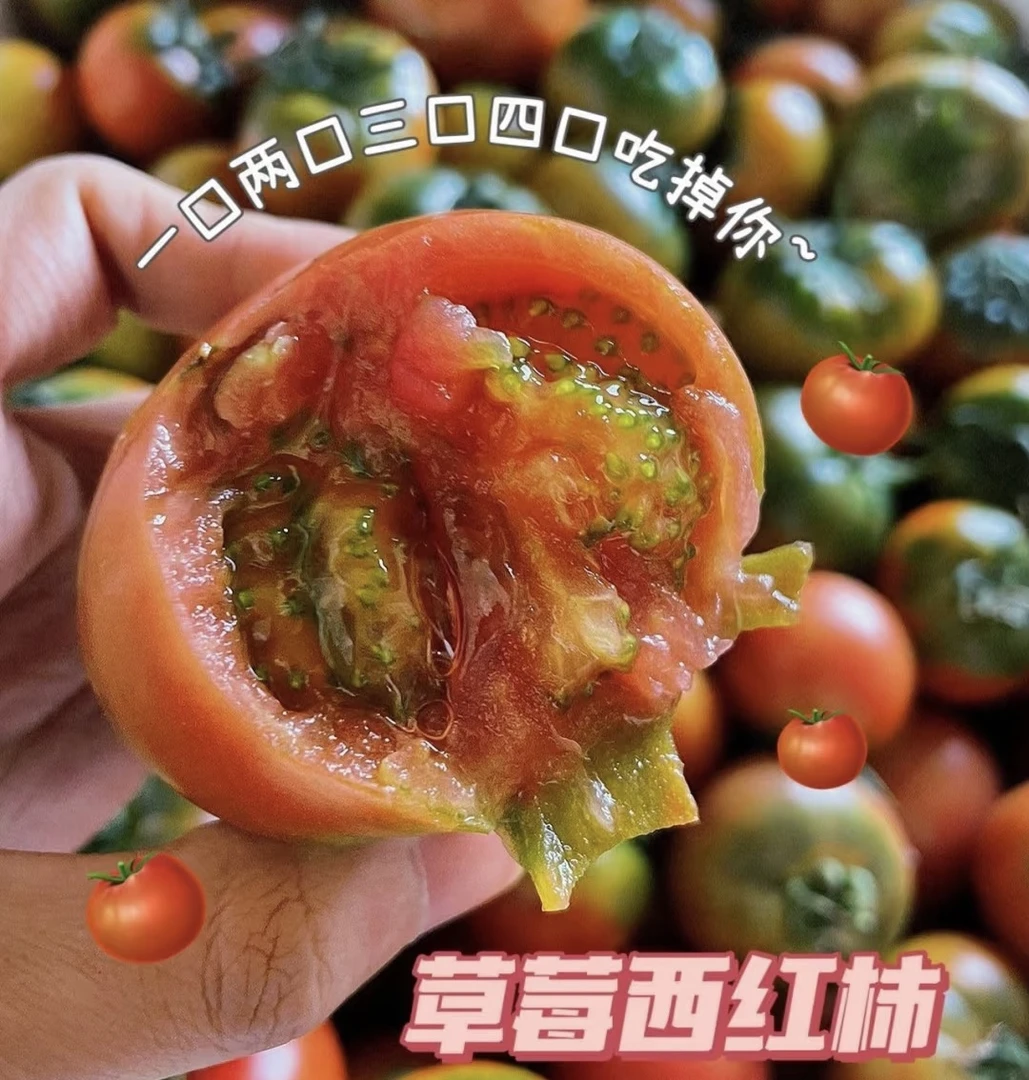 草莓水果西红柿3斤装新鲜