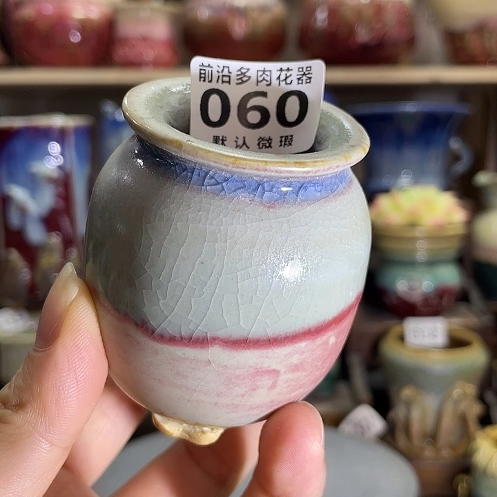 狼盆内口径3高度5