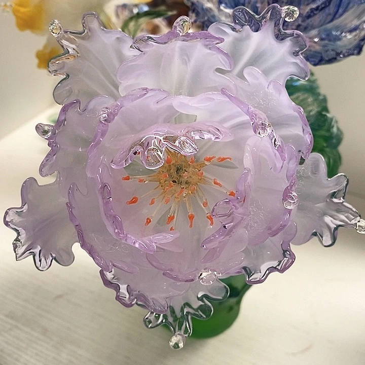 牡丹花高28厘米宽13米