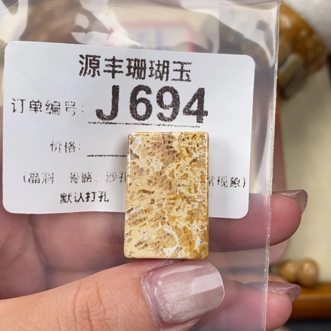 硅化玉颈饰未镶嵌一****儿