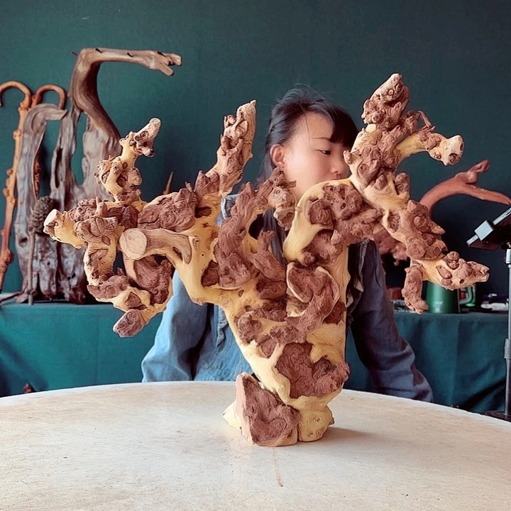 黑果木用****1376金丝红木羊蹄甲半成品