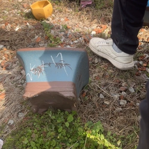 红陶紫砂花盆盆景盆栽