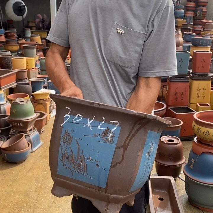 紫砂花盆紫砂花盆盆栽