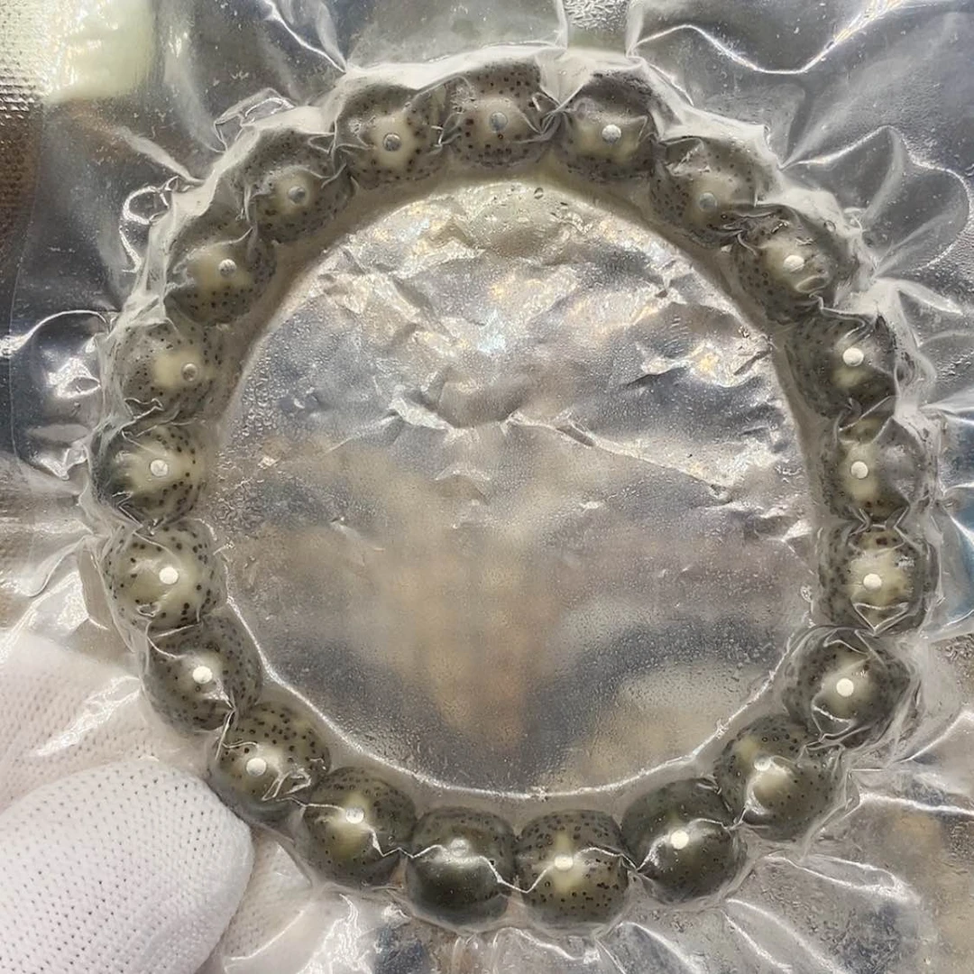 【闪购商品】星月菩提手串海南星月菩提石玉料帝王绿