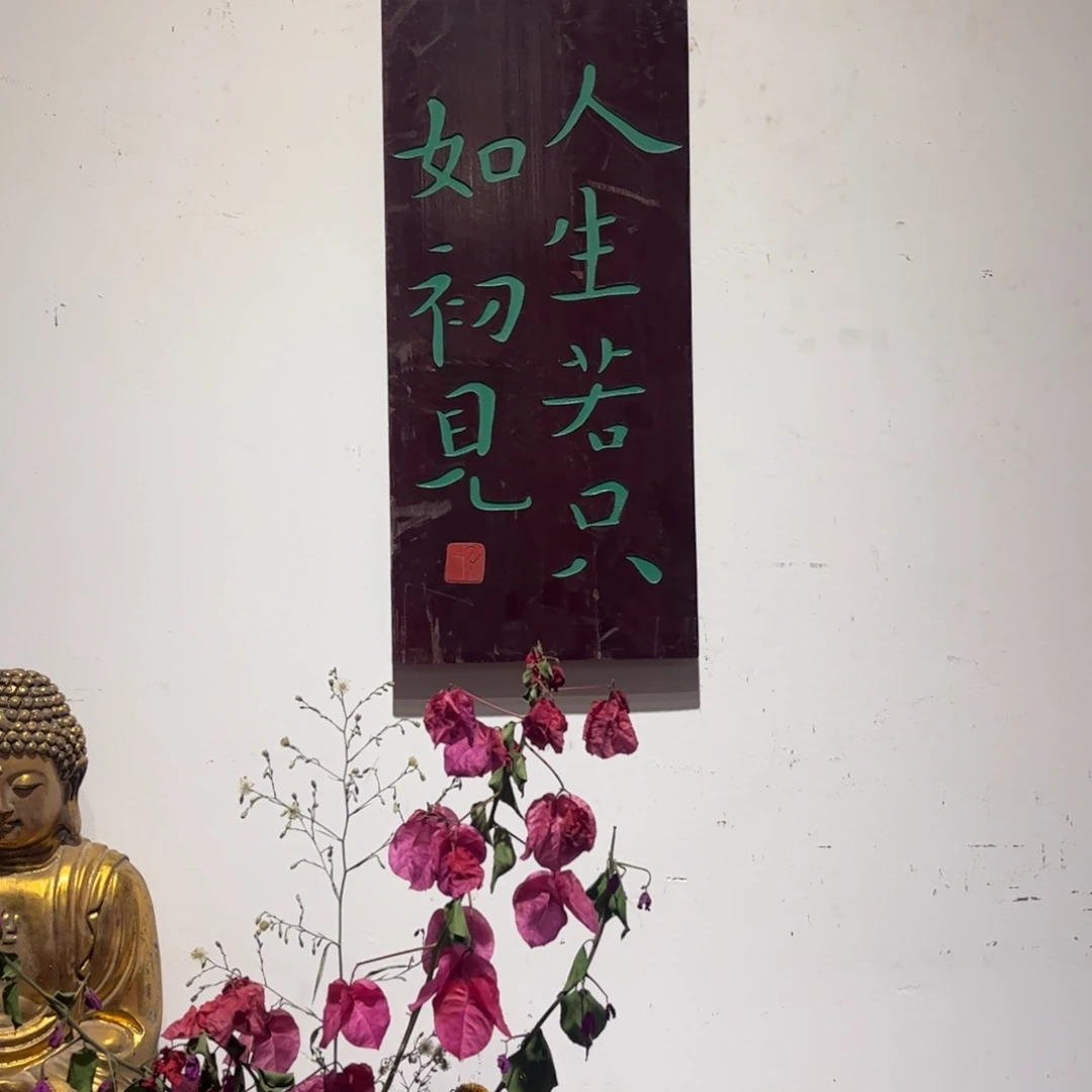 木牌匾人生若只如初见99999999