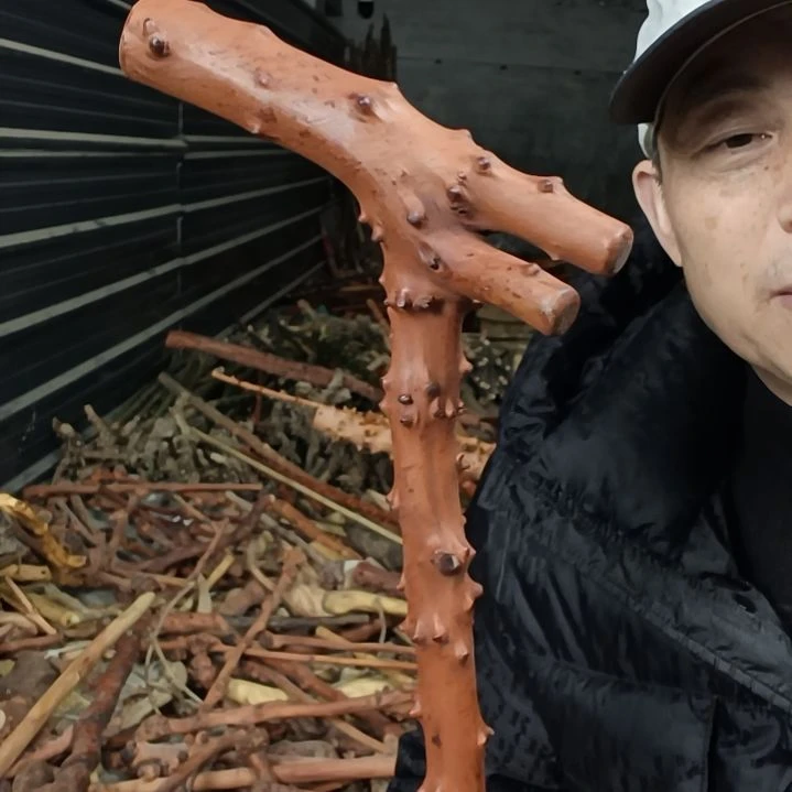 稳定木用****1贵州檬子木   铁马鞭   根艺  半成品