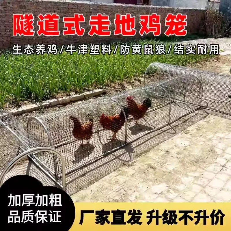 鸡笼养鸡笼防黄鼠狼跑道笼生态养殖笼农庄隧道笼可移动防蛇铁网