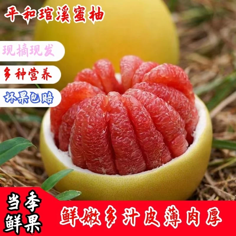【福建发货】正宗琯溪红心蜜柚福建平和老树新鲜采摘坏果包赔xx2