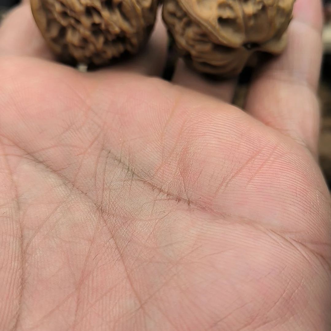 甲***春文玩核桃天地福利