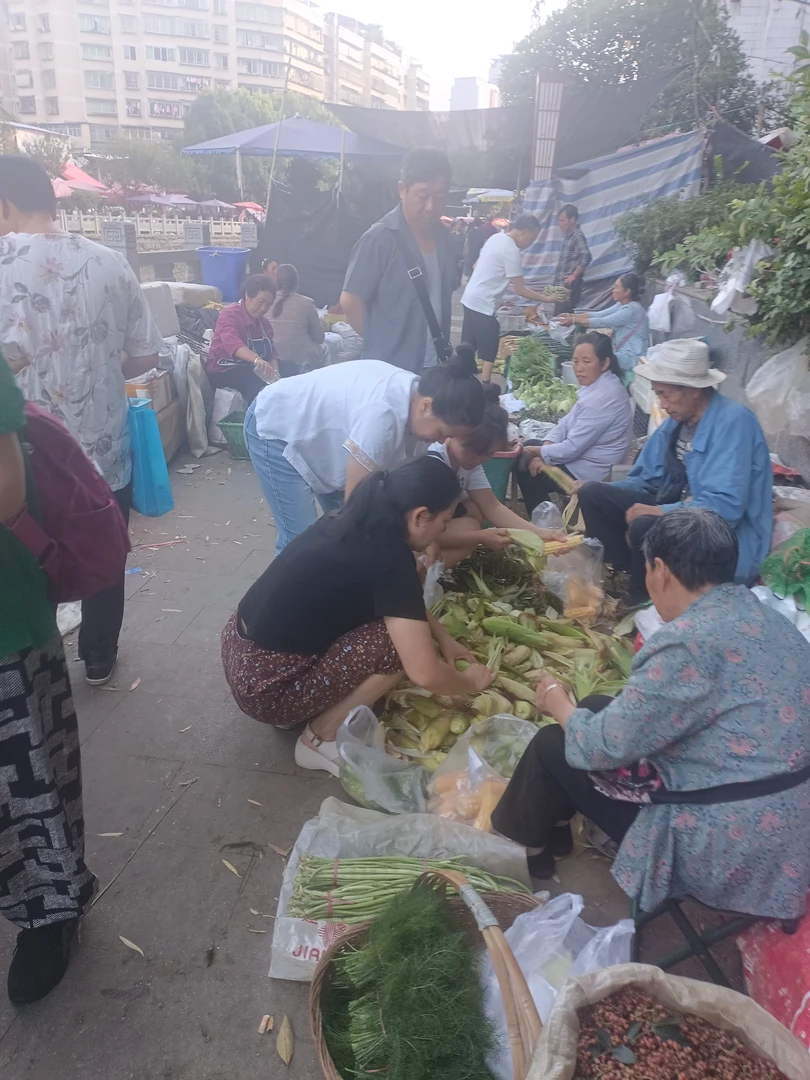 小春哥赶场蔬菜链接